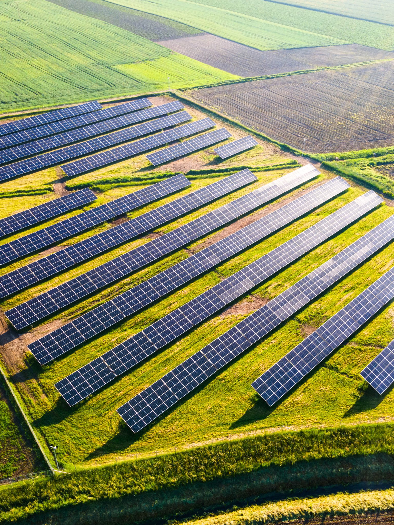 Solar Farming